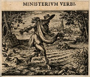A man scatters seed