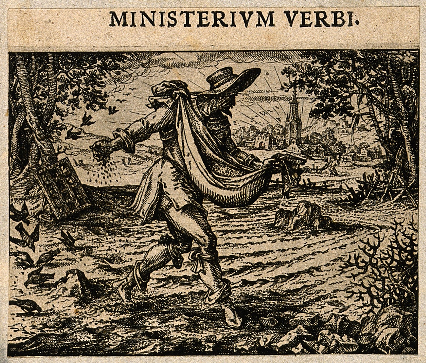 A man scatters seed